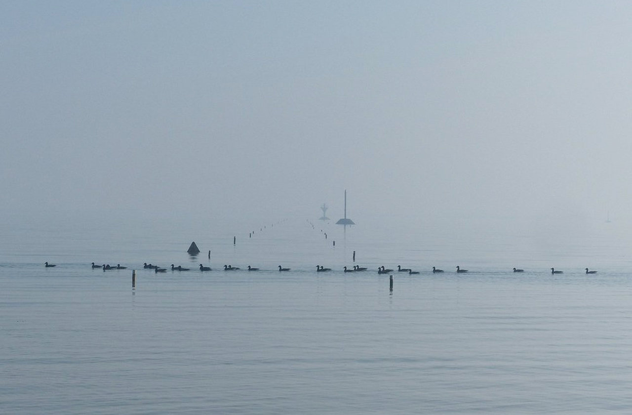 Fotógrafos e cineastas adoram o Gois, visto que o contraste entre estrada e mar cria cenários dramáticos e de tirar o fôlego. Imagens da passagem já ilustraram documentários e campanhas turísticas. É um ícone visual da França atlântica.