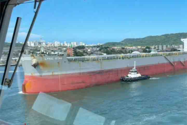 Práticos costumam descrever o ofício como uma combinação de ciência, arte e prudência: ciência pelo domínio técnico, arte pela habilidade em conduzir embarcações gigantes em espaços reduzidos e prudência porque qualquer erro pode comprometer vidas, o meio ambiente e a economia. 
