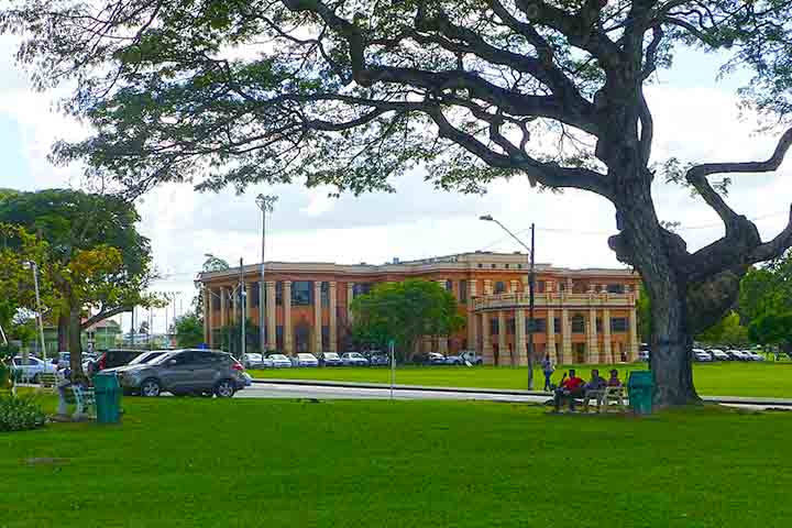 Além da contribuição musical, Kingston também tem papel central na formação da literatura e das artes visuais da Jamaica. É na cidade que se encontram a Universidade das Índias Ocidentais e a Edna Manley College of the Visual and Performing Arts.
