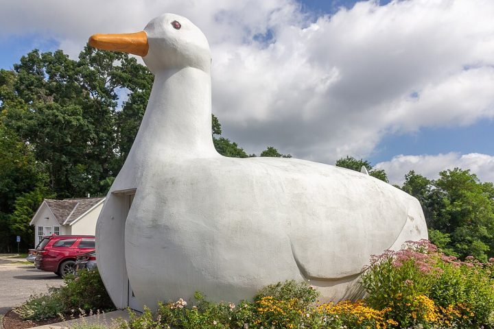 The Big Duck (Nova York, Estados Unidos): Essa loja em formato de pato inspirou o arquiteto Robert Venturi a formular a teoria da “Casa Pato”, usada para ilustrar edifícios cuja forma expressa diretamente sua função — no caso, vender produtos de pato.