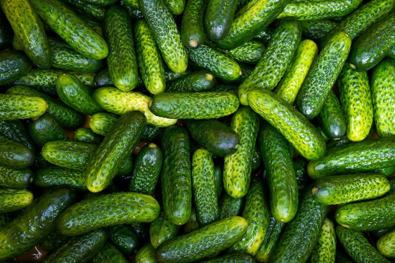 O pepino, um dos vegetais mais consumidos ao redor do mundo, destaca-se por suas inúmeras propriedades nutricionais e benefícios à saúde. Composto por cerca de 95% de água, ele é uma excelente opção para quem busca uma alimentação saudável, refrescante e de baixo valor calórico.