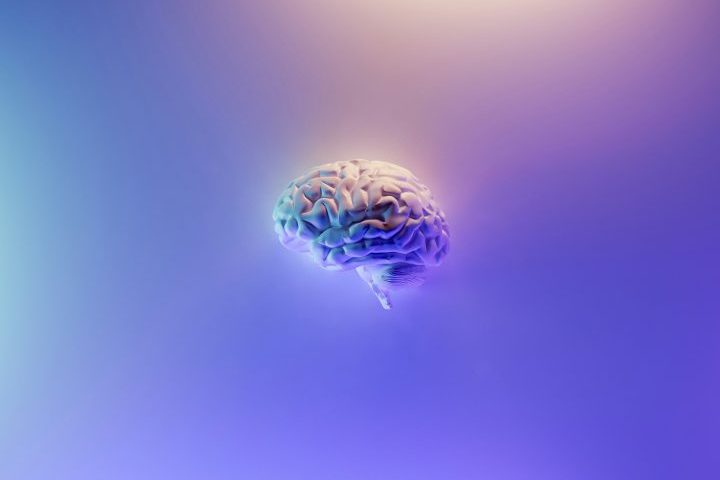 Neurocientistas contratados pelo Museu Mauritshuis, em Haia, nos Países Baixos, onde fica a obra, realizaram investigações que mostram como o cérebro reage ao observar essa obra-prima, fornecendo uma nova perspectiva sobre a experiência estética.