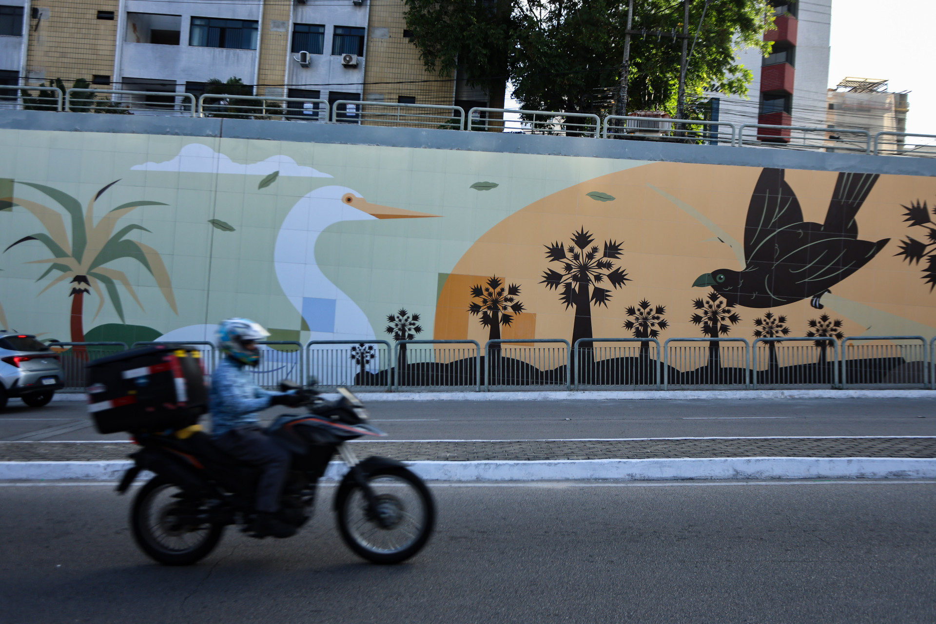 Painel tem&aacute;ticos no t&uacute;nel Juraci Vieira de Magalh&atilde;es. 