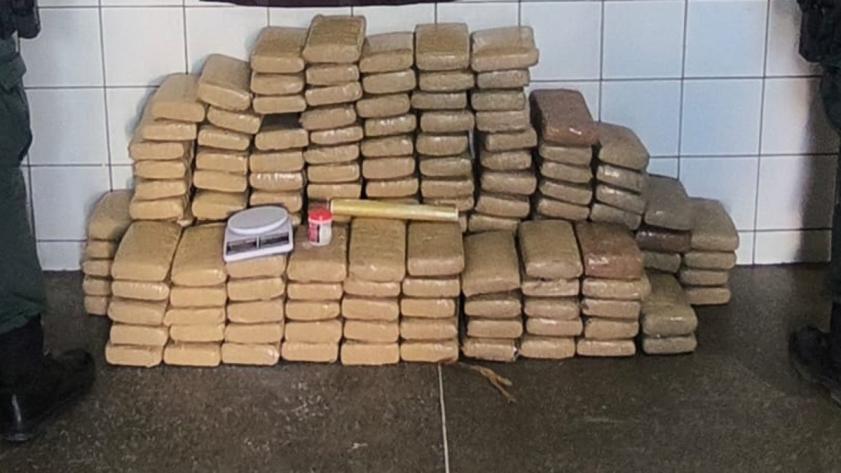 PMCE apreendeu drogas em imóvel no bairro Parque Guadalajara, em Caucaia; maconha do tipo skunk somava 177 kg entre tabletes fechados e produto embalado para venda
