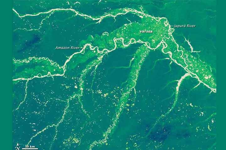 Ela abastece cidades e populações ribeirinhas. Sua água é usada para atividades domésticas e para a agricultura e pecuária. Contribui para a produção de insumos e criação de rebanhos.
