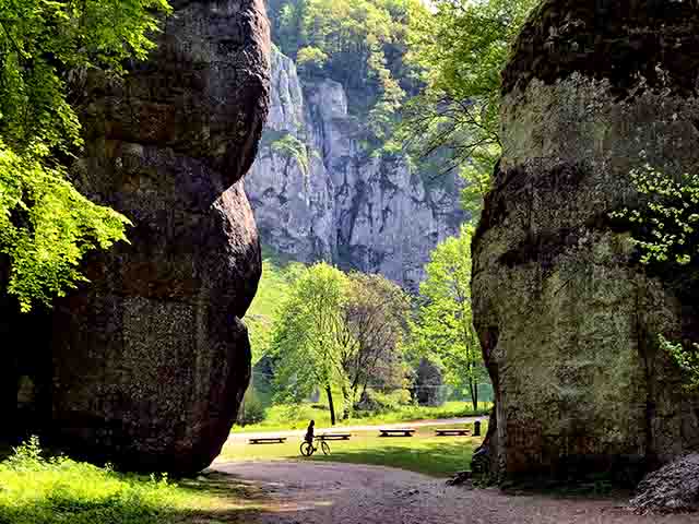 A paisagem do parque é marcada pela topografia característica do planalto jurássico de Cracóvia–Częstochowa, com vales profundos, cavernas e impressionantes rochas em forma de cogumelos.