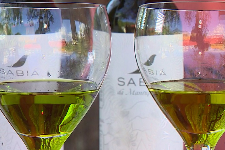 Além dessa distinção, o Brasil teve nove azeites incluídos na seleção principal do guia nesta edição. As marcas destacadas além do Sabiá foram: Prosperato, (RS) com 97 pontos; Lagar H (RS) e Estância das Oliveiras (RS) cada uma com 93; Capela de Santana (RS) com 90; Bem te Vi (RS) com 89; Al-Zait e Co. (RS) com 87; Verolí (MG) com 86; e Borriello (MG) com 81 pontos. 
