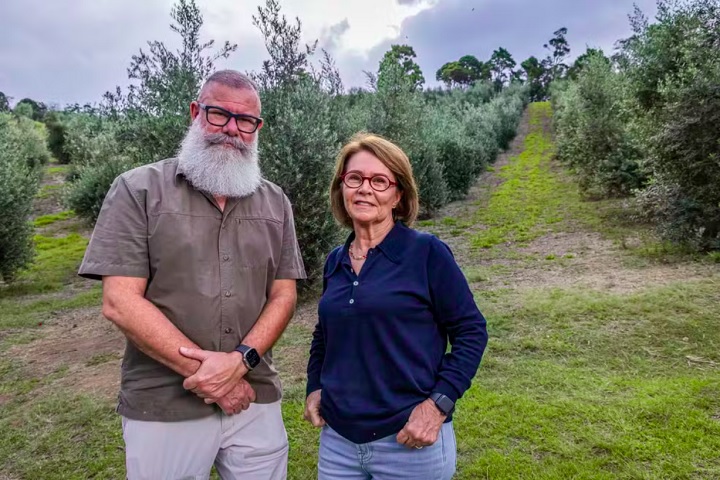 Em comunicado, Bia Pereira, fundadora da Fazenda do Azeite Sabiá ao lado de Bob Costa, declarou que essa conquista “é a recompensa pelo nosso empenho diário e, sobretudo, a prova de que o Brasil também produz azeites de excelência”. 
