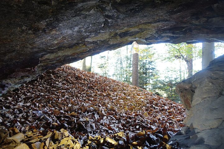Enquanto a grota é parte da superfície e tende a ser aberta, a gruta é um ambiente subterrâneo, muitas vezes com condições próprias de temperatura, umidade e iluminação.