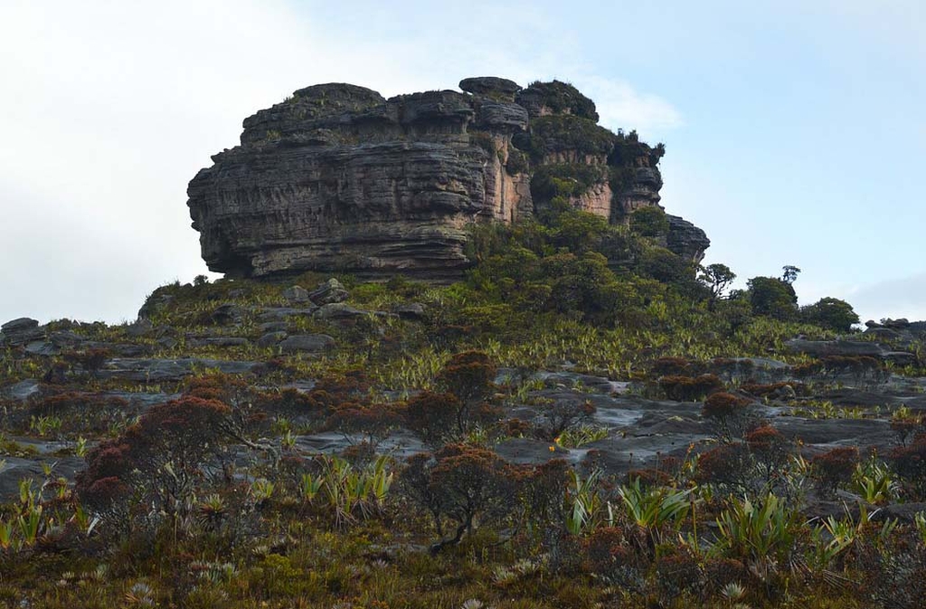 Cientistas estudam o Monte Roraima para entender processos evolutivos, e o isolamento favorece descobertas de espécies inéditas. Geólogos analisam suas rochas para compreender a história da Terra. É um campo fértil para ciência e exploração.