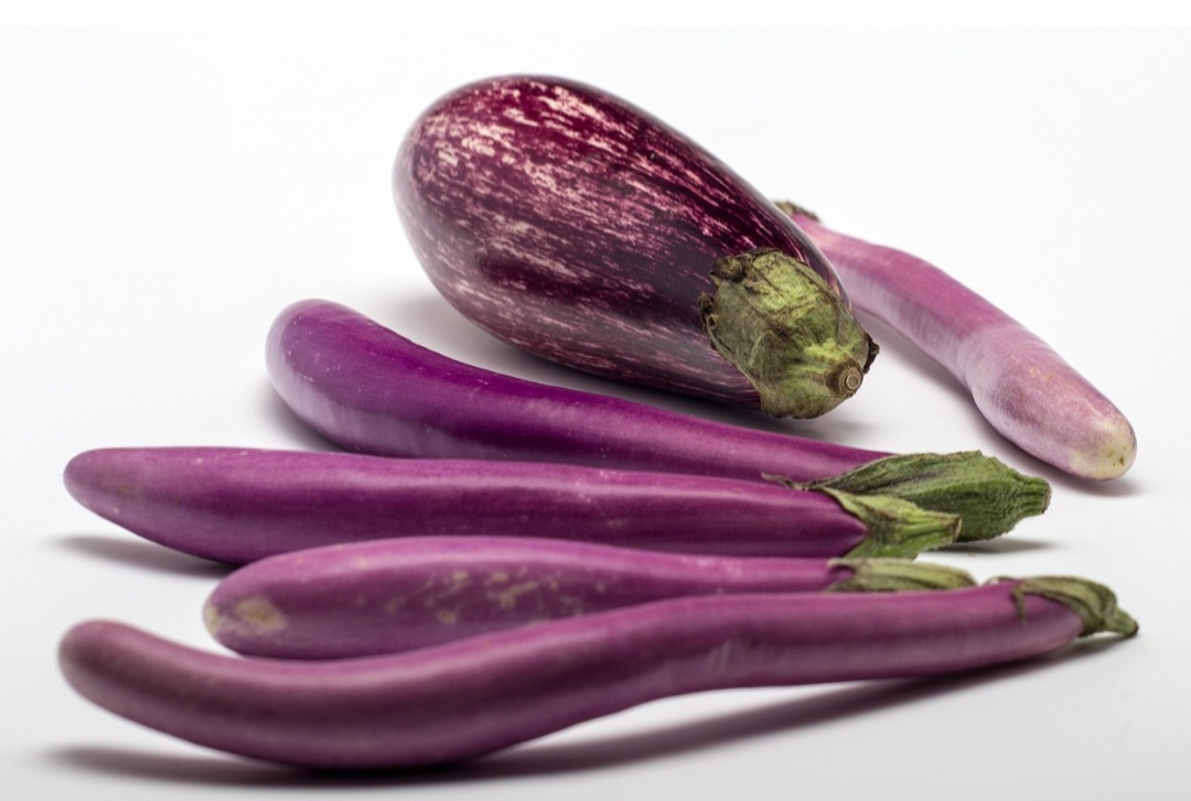 O nome berinjela é oriundo do termo persa badnjan, através do termo árabe badinjanâ. De polpa macia e flexível, tem uma película lisa e lustrosa que a envolve.