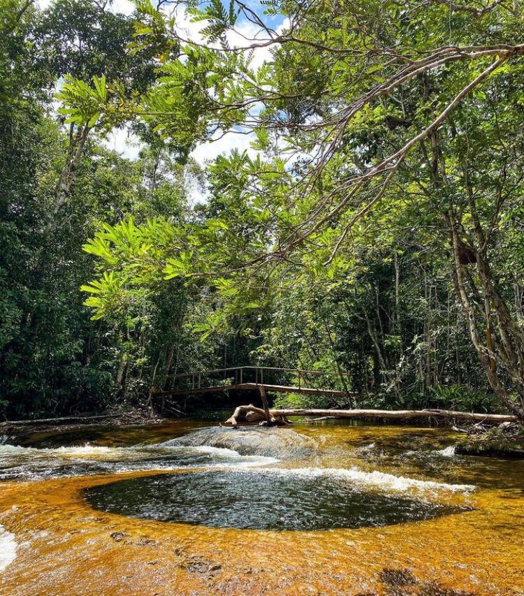 O espetáculo singular fica localizado a 110 quilômetros de Manaus, no município de Presidente Figueiredo.