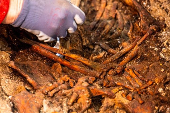 Além disso, no piso da igreja também foram descobertos sarcófagos do período merovíngio (481-751) e da transição entre a Antiguidade (4000 a.C. - 476 d. C.) e a Idade Média (476-1453).