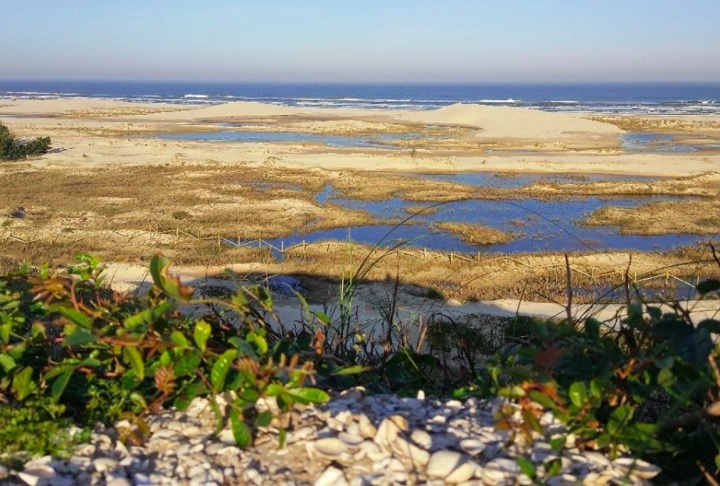 Eles revelam aspectos fundamentais da vida dos povos sambaquieiros, que já habitavam a área antes da chegada dos indígenas Guarani, Carijós, Kaingang e Xokleng. 