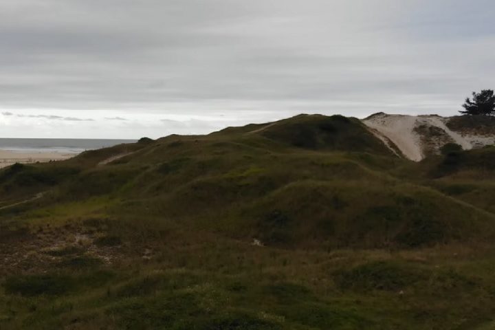 Um projeto intitulado “Museu no Percurso da História do Homem do Sambaqui” tem sido responsável por promover a educação patrimonial desse local histórico.