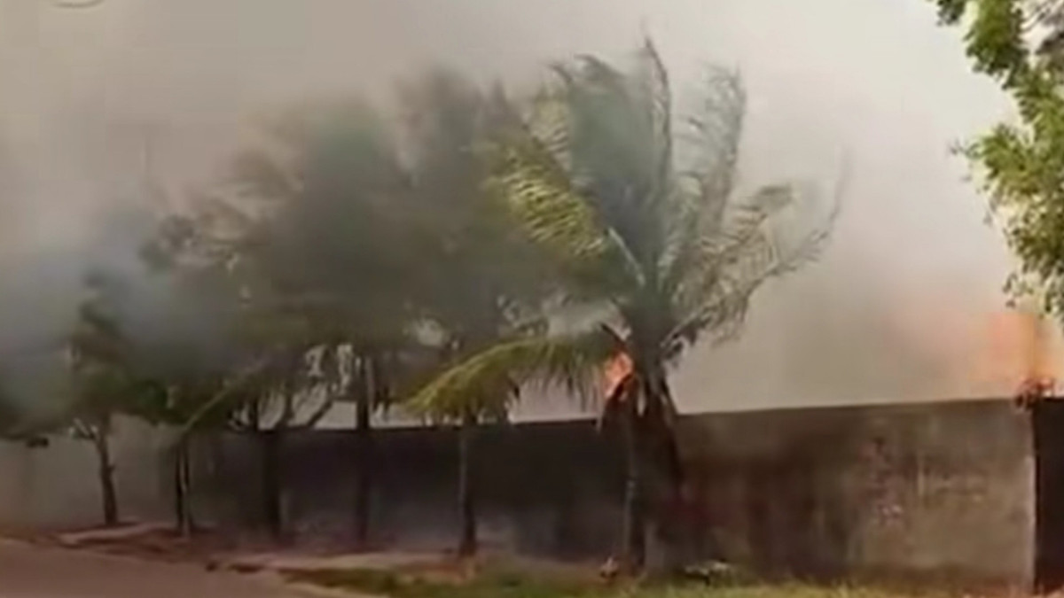 O fogo atingiu a vegetação interna e externa do local