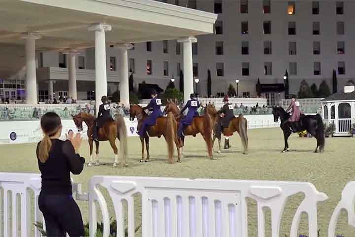 No Brasil, cidades como Colina, Jaguariúna e Avaré compartilham a honra de serem reconhecidas como a capital nacional do cavalo, cada uma com suas festas, haras e tradições que celebram esse nobre animal.