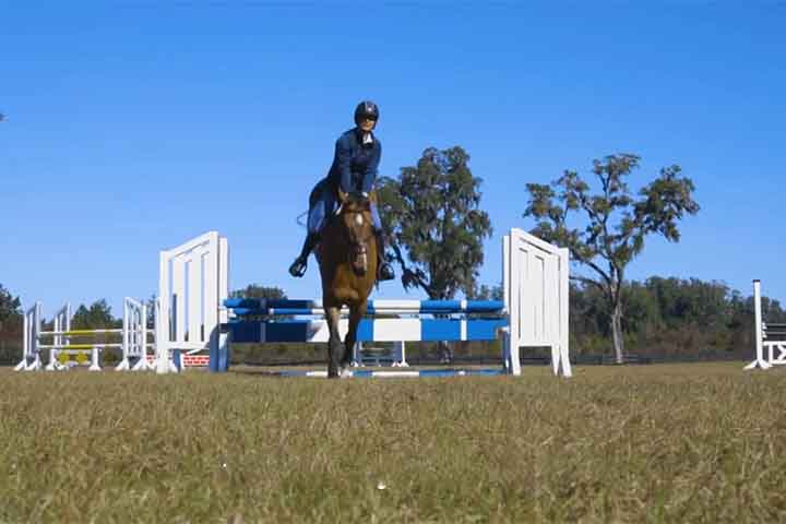 A região reúne Quarto de Milha, Standardbred e esportes hípicos olímpicos, que sustentam circuitos, escolas, clínicas, centros de treinamento e hotéis para cavalos.
