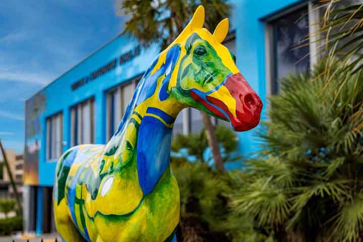 Tais eventos, como o HITS Ocala Winter Circuit e Live Oak International atraem atletas, investidores e compradores do mundo inteiro. Algo que reforça o giro do agro-equestre com público, mídia e exportação de genética.