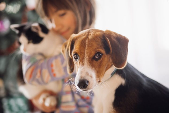 Com tanto sofrimento no mundo, não me parece razoável colocar mais alguém aqui para sofrer, concordou Ignacio Martínez Larrea. 