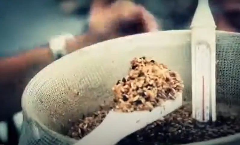 Cerveja de formiga - Lamas - A ideia de juntar saúvas à fórmula se deve ao sabor cítrico das formigas. Também recebe figo e tucupi negro. 