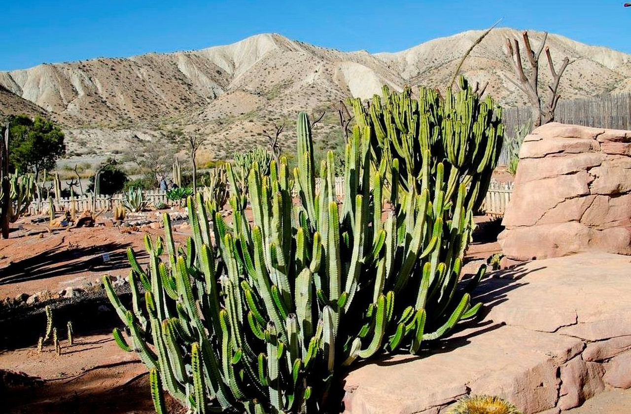 A intensidade da luz solar é um espetáculo à parte no qual os tons avermelhados e amarelados ganham força ao entardecer. Fotógrafos e cineastas aproveitam esse brilho singular do deserto, que se transforma em um palco de cores vibrantes.