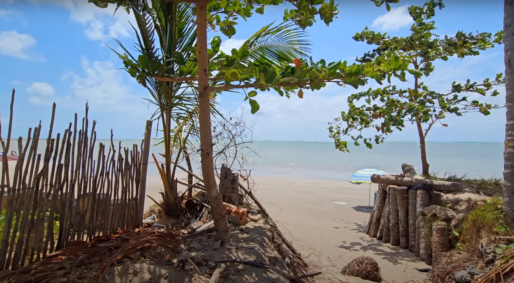 Praia do Patacho (AL): Com areia branca, coqueiros e um mar praticamente sem ondas, é um refúgio sossegado para quem busca descanso.