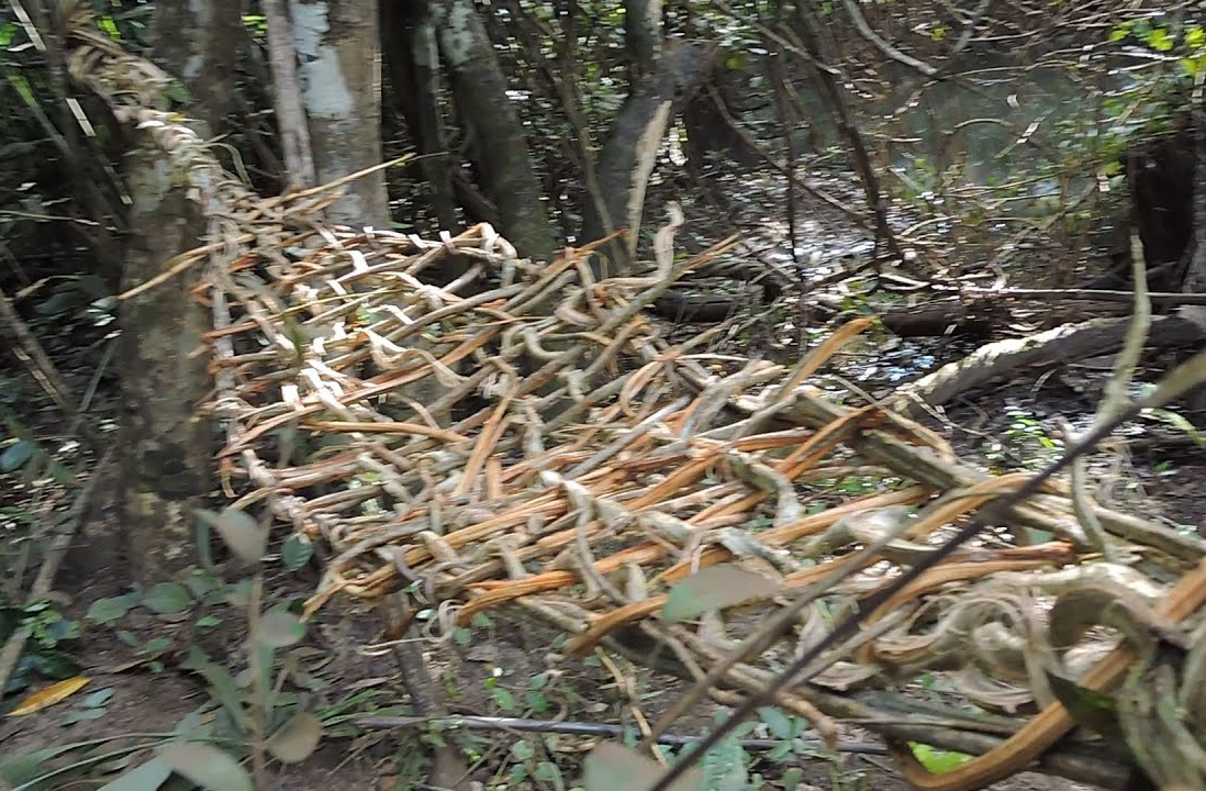 Acredita-se que as redes de descanso surgiram na área amazônica do Orinoco, por volta de 2500 a.C.. O primeiro a registrar o seu uso no Brasil foi Pero Vaz de Caminha, em 1500, que descreveu as hamaka (termo original para a rede, feito de cipó e lianas) nas casas dos povos nativos. 
