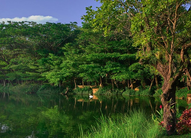 O espaço do resort ocupa uma área de 19 hectares, com mais de 30.000 árvores e uma série de lagos. O maior deles, chamado de Lago dos Cisnes,  abriga vários cisnes pretos e brancos.