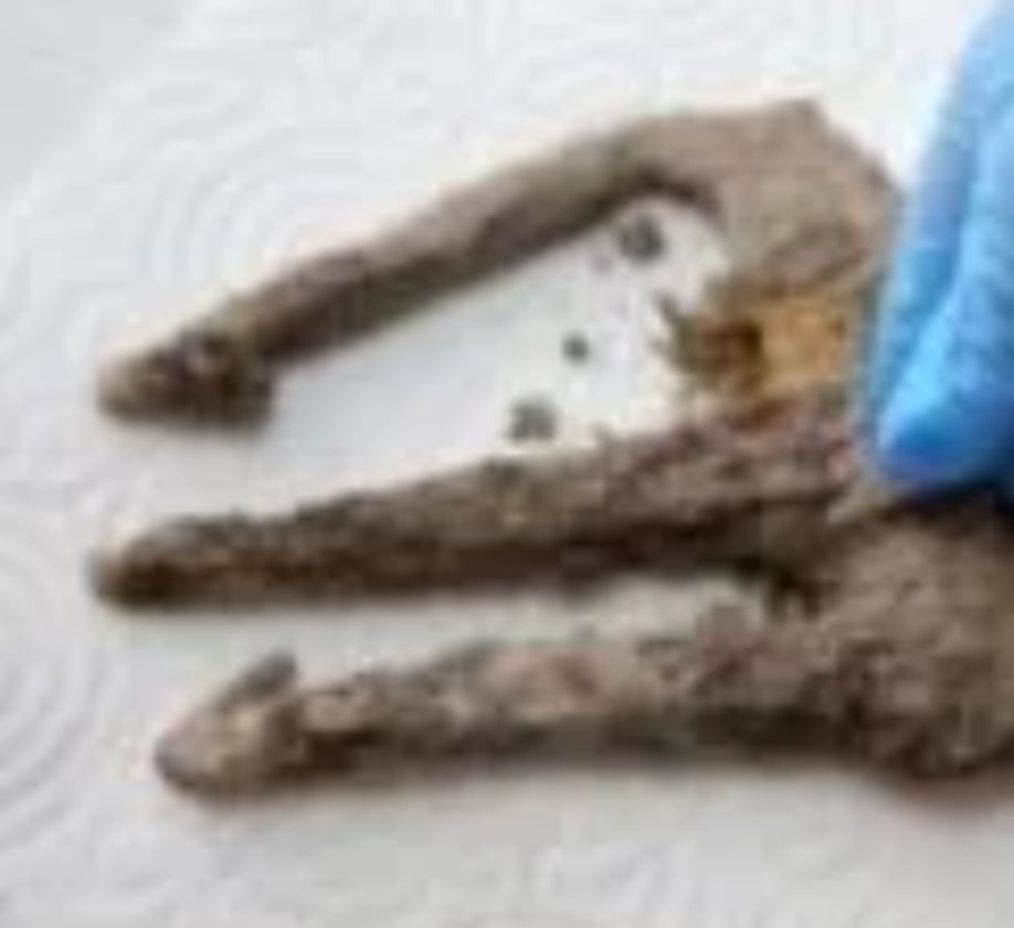 Uma peça histórica, datada do século III ou IV, foi encontrada recentemente na antiga cidade de Assos, na Turquia. Trata-se de um tridente de ferro. Ele estava oxidado e coberto por solo, e foi encontrado por uma equipe de arqueólogos da Universidade Canakkale Onsekiz Mart. 