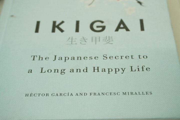 Ikigai significa “razão de ser” ou “propósito de viver”. É a filosofia japonesa que une o que se ama, o que é bom, sustento e o que o mundo precisa. No encontro desses quatro pilares, nasce um ponto de equilíbrio que dá sentido à vida. Encontrar seu Ikigai é descobrir o que faz cada dia valer a pena todos os dias.