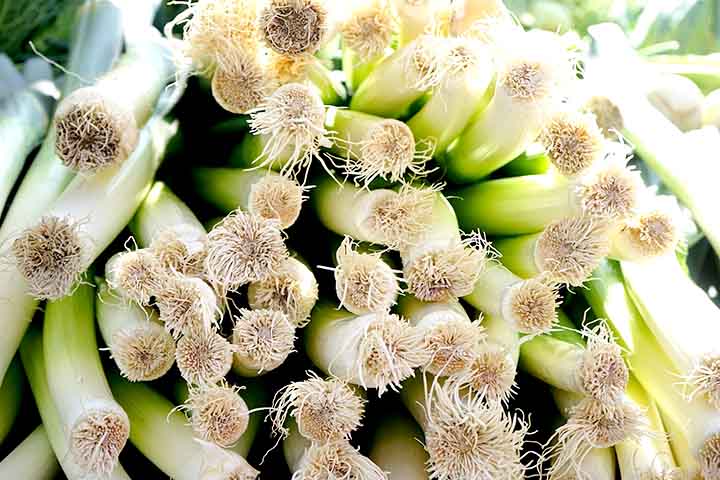 Alguns compostos do alho-poró possuem propriedades anti-inflamatórias. Já outros estudos sugerem que esse vegetal pode ajudar a controlar os níveis de açúcar no sangue, sendo benéfico para pessoas com diabetes.