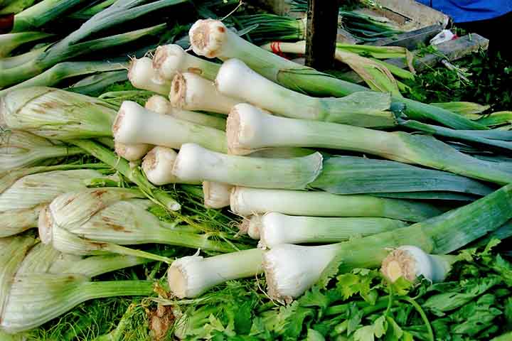 Por ser fonte de vitamina K, o consumo de alho-poró pode reduzir o risco de osteoporose, ajudando a fixar o cálcio nos ossos. Este vegetal também apresenta magnésio, cálcio e fósforo, importantes para a saúde óssea. 