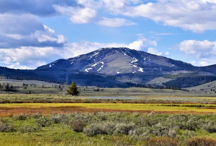 O obstáculo vem do fato de que o parque de Yellowstone está sob jurisdição federal desde que foi criado, em 1872. 