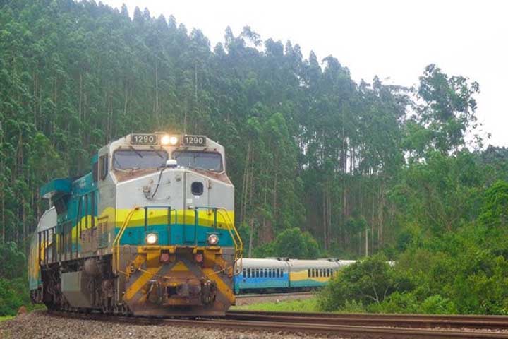 Em um cenário de declínio das linhas de passageiros no país, o trem da Vale mantém viva uma tradição centenária. 