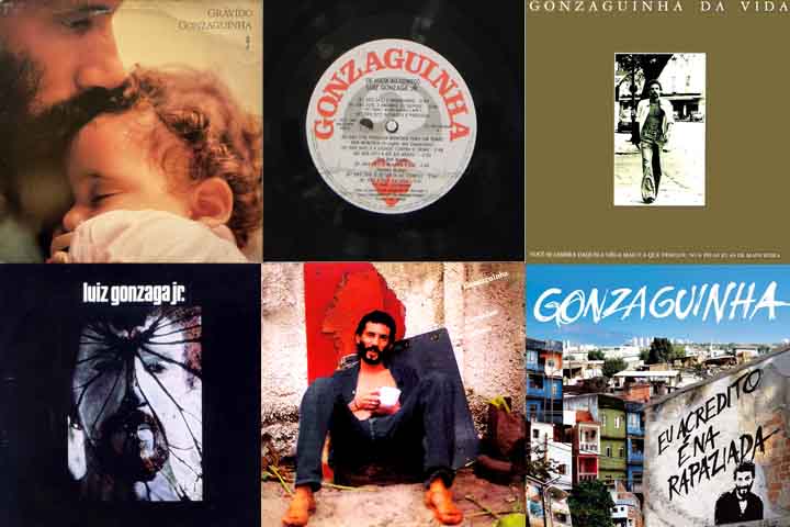 Alguns títulos emblemáticos incluem “Plano de Vôo”, “Começaria Tudo Outra Vez”, “Recado”, “Gonzaguinha da Vida”, “De Volta ao Começo”, “Corações Marginais” e “Luizinho de Gonzagão Gonzaga Gonzaguinha”. 
