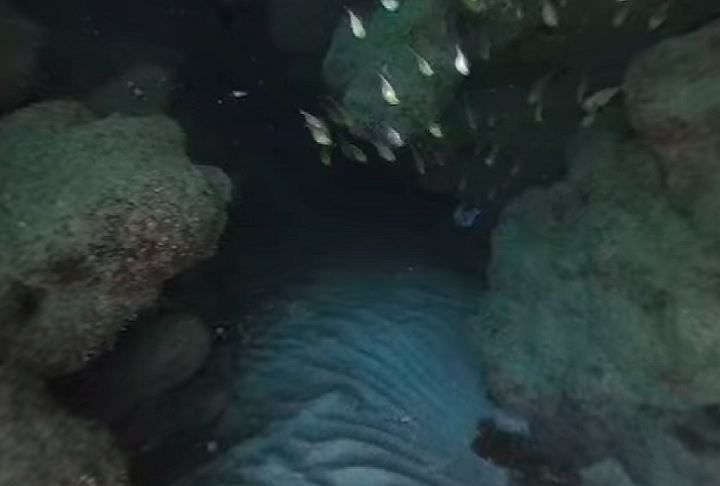 Essas estruturas foram encontradas nos recifes de coral da Área de Proteção Ambiental (APA) Costa dos Corais, localizada em Tamandaré, no sul de Pernambuco.
