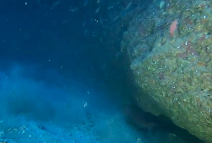 Para o estudo dessas cavidades, foram conduzidas expedições de mergulho, nas quais se coletaram dados geoespaciais, como localização, profundidade e características físicas das cavernas, usando equipamentos subaquáticos como GPS e sondas.