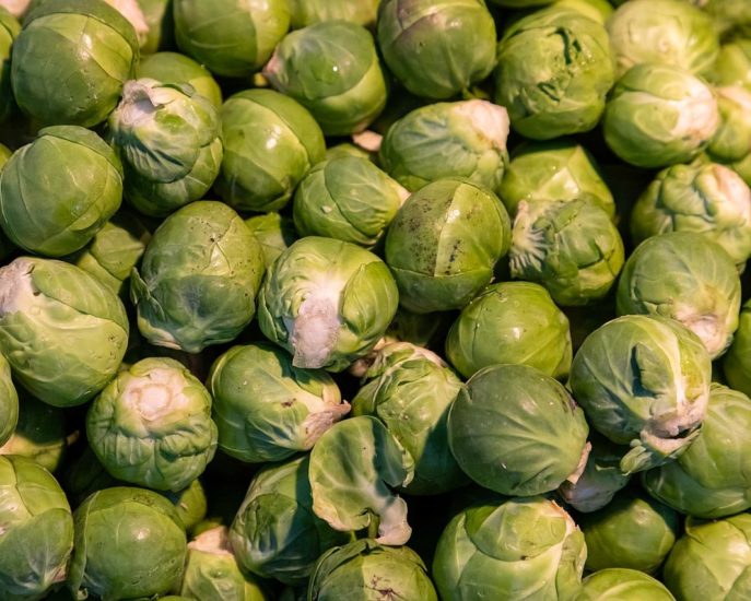 Esta planta é uma espécie com uma incrível diversidade, incluindo couve, brócolis, couve-flor, repolho, couve-de-bruxelas (foto) e couve-galega, entre outras. 