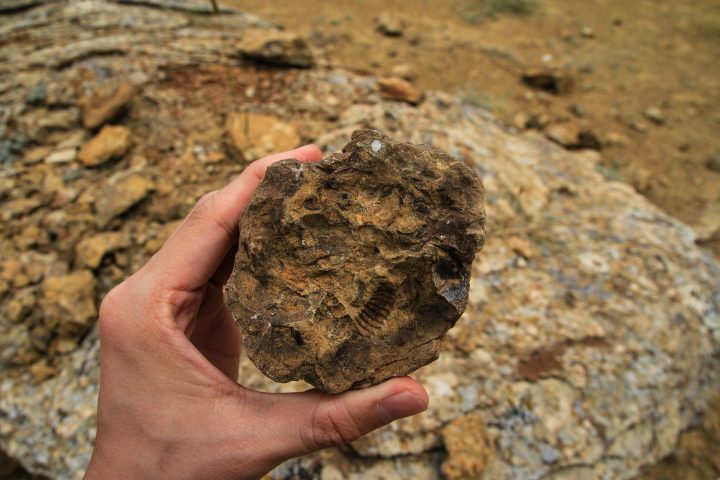 Ele sugere a criação de um sistema de câmeras para registrar quedas de meteoritos no deserto e propõe também a fundação de um museu nacional, no qual essas rochas espaciais possam ser preservadas e exibidas ao público.