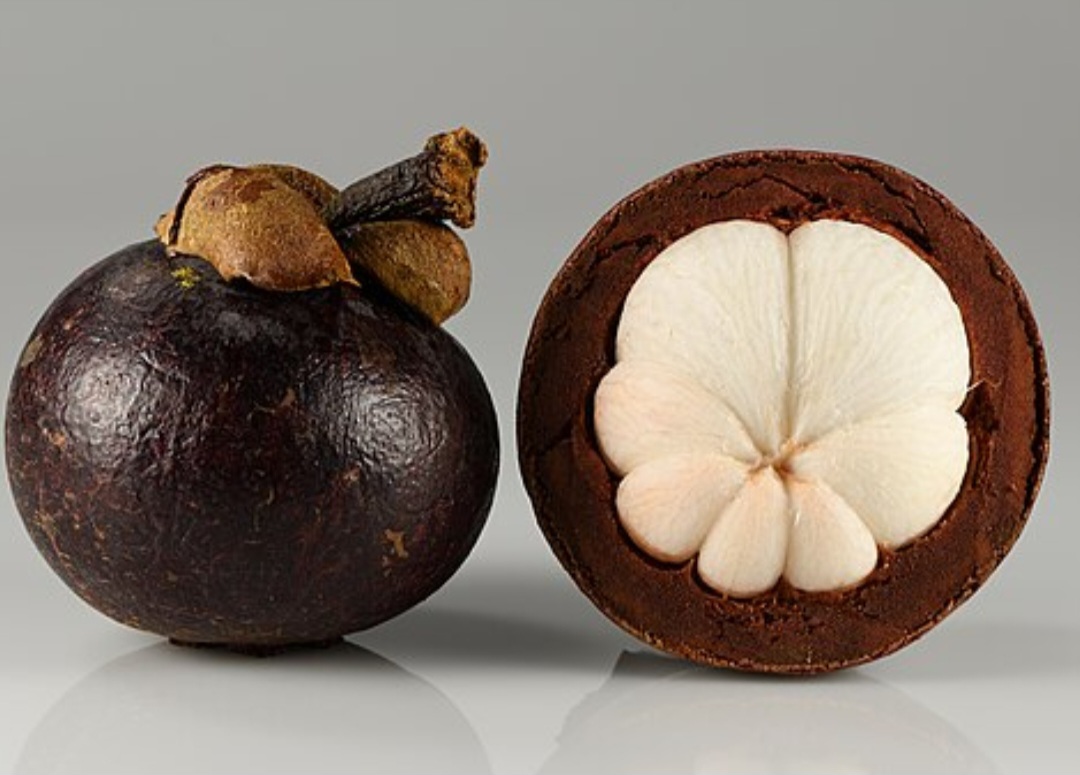 Mangostão (Garcinia mangostana) - Também chamada de mangostim, é uma fruta tropical originária do Sudeste Asiático, especialmente da região da Malásia, Indonésia e Tailândia. É conhecido como a rainha das frutas por sua aparência elegante e sabor requintado. 
