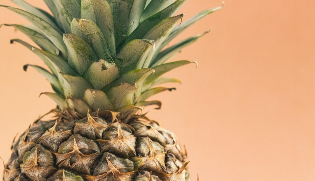 Essa fruta, que também pode ser chamada de ananás, é tropical, nativa da América do Sul, com origem especificamente na região do Paraguai.