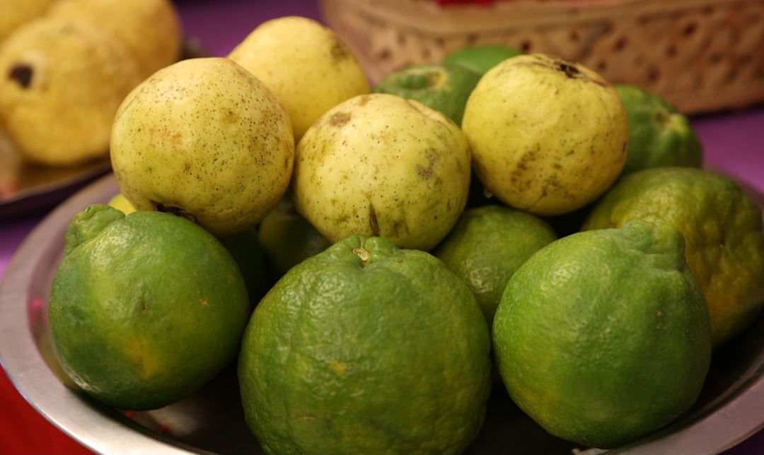 O nome goiaba vem do tupi coyhaba, que significa sementes juntas-amontoadas-aglomeradas. A cultura desta fruta gera empregos e renda, especialmente em áreas rurais, e contribui para a segurança alimentar (práticas de produção até a qualidade do produto final) e a diversidade da dieta. 