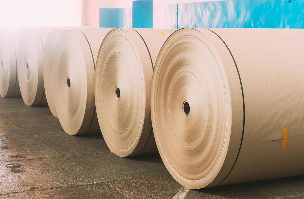 Minérios, celulose e café são os principais produtos exportados pela região. Os mercados asiáticos, europeus e norte-americanos consomem o que é produzido na Vale do Rio Doce. A balança comercial é positiva e estratégica para o Brasil.