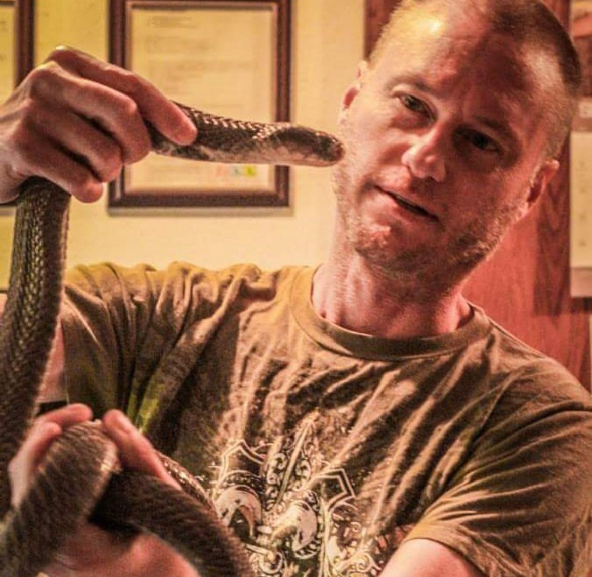 A equipe de cientistas testou dois anticorpos retirados de Tim Friede em camundongos. 