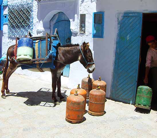 Na cidade, o visitante se depara com um labirinto de vielas estreitas que se revelam em camadas, guiando o olhar por portas arredondadas, arcos decorados e escadarias sinuosas coloridas em tons que variam do azul anil ao azul celeste. 

