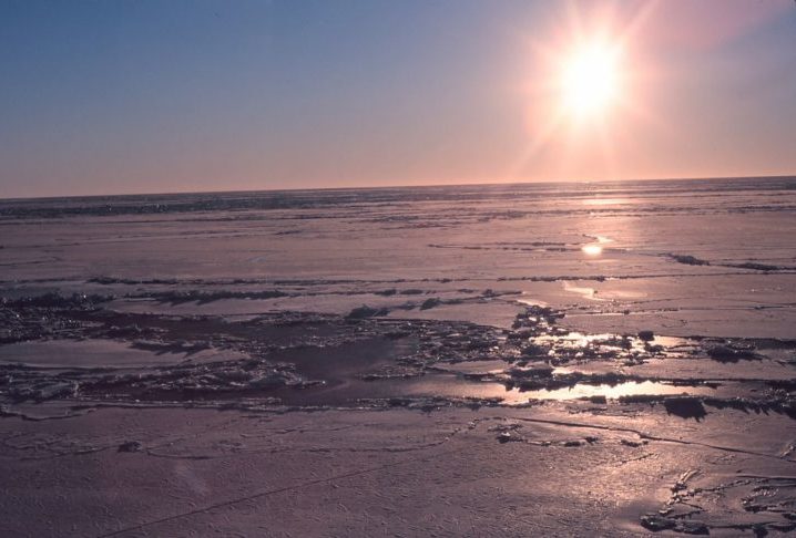 Um estudo científico publicado por Mahon na revista “ZooKeys” destaca o quanto é urgente entender e preservar os diferentes tipos de vida nesses lugares isolados, principalmente considerando as ameaças das mudanças climáticas.