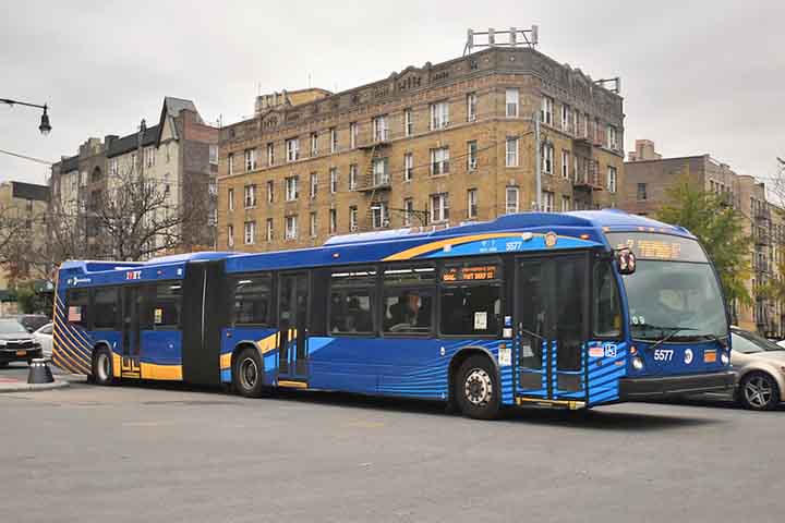 O Bronx, um dos cinco distritos que compõem a cidade de Nova York, é um território vibrante, multicultural e repleto de contrastes, cuja identidade foi moldada ao longo de séculos.

