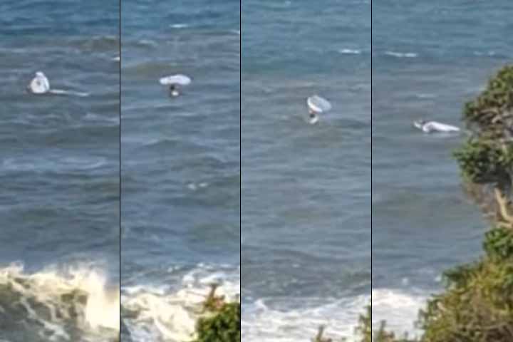 Imagens que circularam pelas redes mostram o momento em que o kitesurfista tenta subir novamente na prancha, mas acaba sendo vencido pela força das ondas.