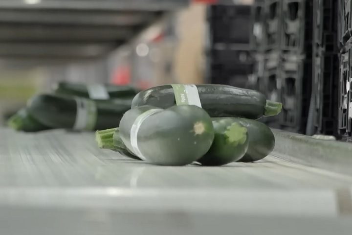 Desses, mais da metade é exportada, principalmente para a Alemanha, Reino Unido, França e Itália.